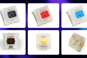Gateron 5 pin switch tester pack